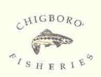 Chigboro' Fisheries